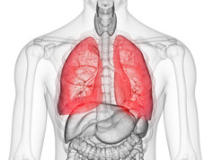 bronquitis o problemas y enfermedades respiratorias