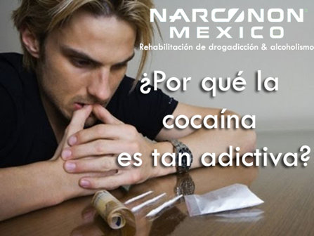 Narconon México 